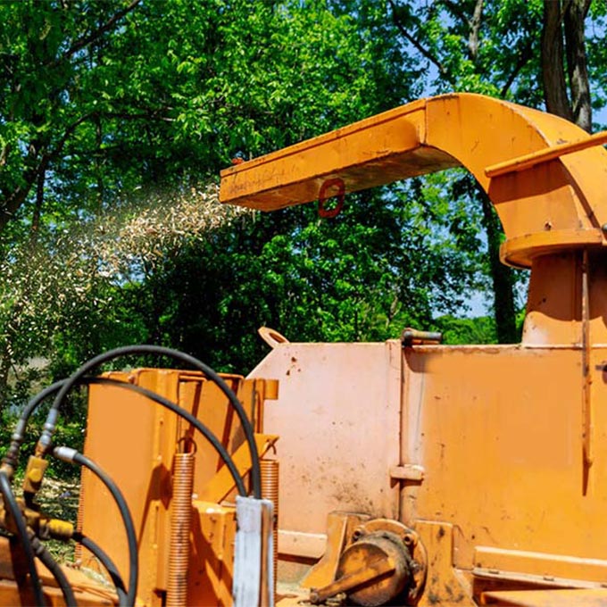 L C Tree Services LLC Arborist Services